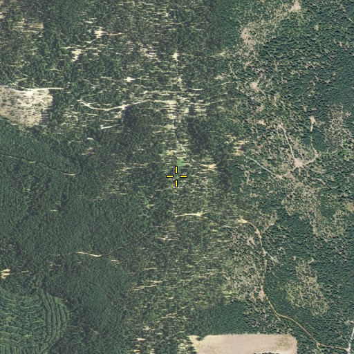Aerial/Satellite Image of Willow Spring, CA
