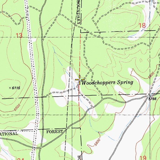 Topographic Map of Woodchoppers Spring, CA