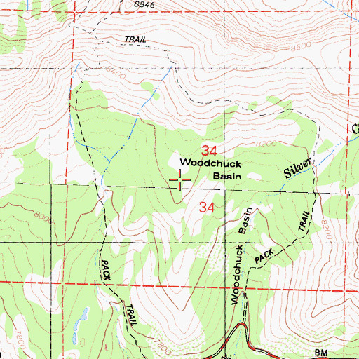 Topographic Map of Woodchuck Basin, CA