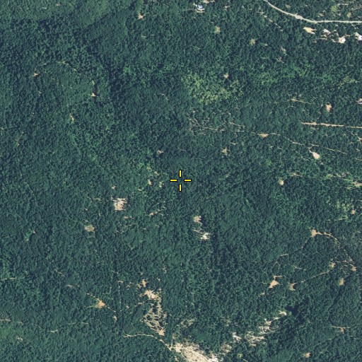Aerial/Satellite Image of Young America Canyon, CA
