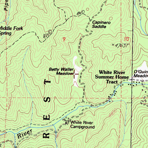 Topographic Map of Betty Waller Meadow, CA