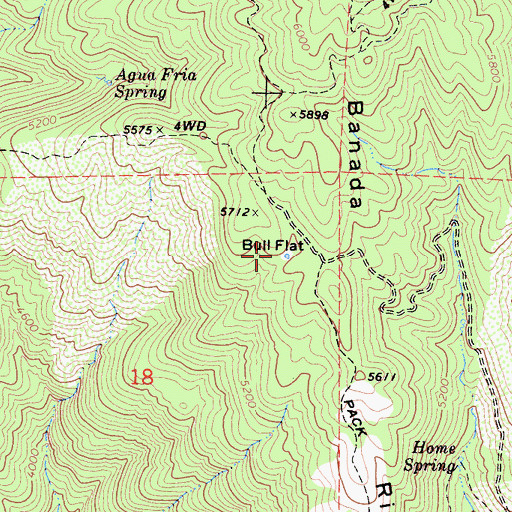 Topographic Map of Bull Flat, CA