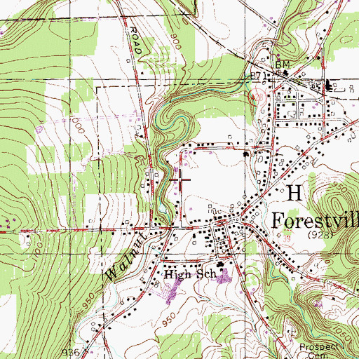 Topographic Map of Forestville Fire Department, NY
