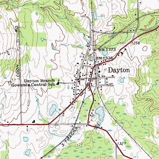Topographic Map of Dayton Volunteer Fire Department, NY