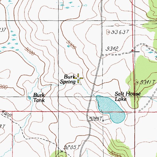 Topographic Map of Burk Spring, AZ