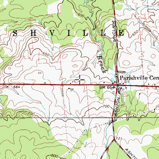 Topographic Map of Snell Farms, NY