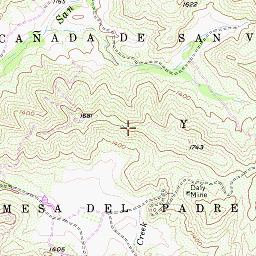 Topographic Map of Caada De San Vicente Y Mesa Del Padre Barona, CA
