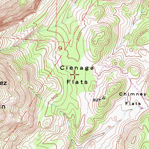 Topographic Map of Cienaga Flats, CA