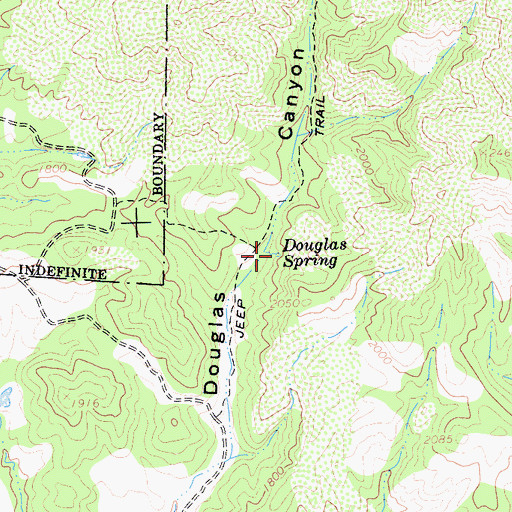 Topographic Map of Douglas Spring, CA