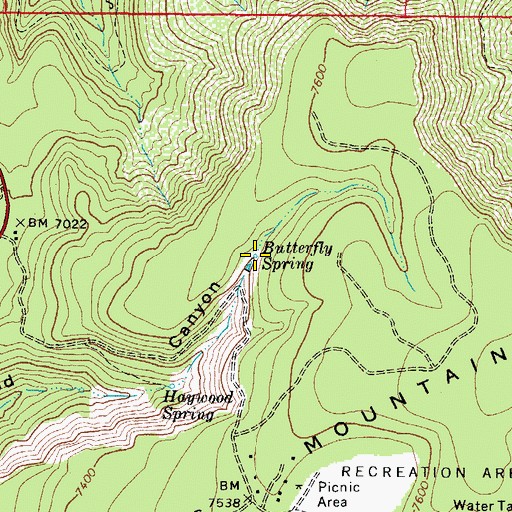 Topographic Map of Butterfly Spring, AZ