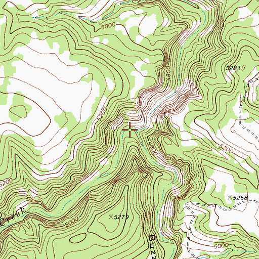 Topographic Map of Buzzard Roost Canyon, AZ