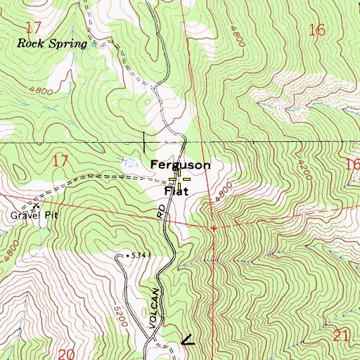 Topographic Map of Ferguson Flat, CA