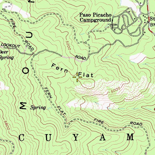 Topographic Map of Fern Flat, CA