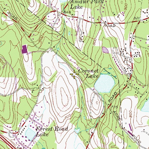 Topographic Map of Congregation Yetev Lev, NY
