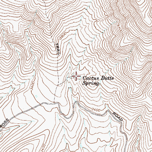 Topographic Map of Cactus Butte Spring, AZ