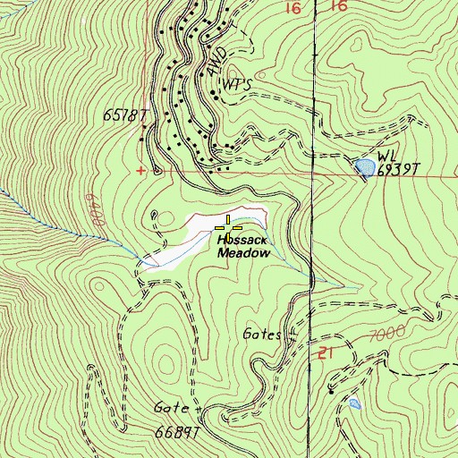 Topographic Map of Hossack Meadow, CA