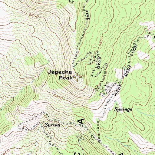 Topographic Map of Japacha Peak, CA