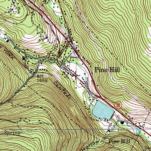 Topographic Map of Pine Hill Fire Company 1, NY