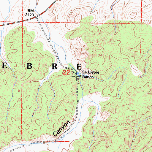 Topographic Map of La Liebre Ranch, CA