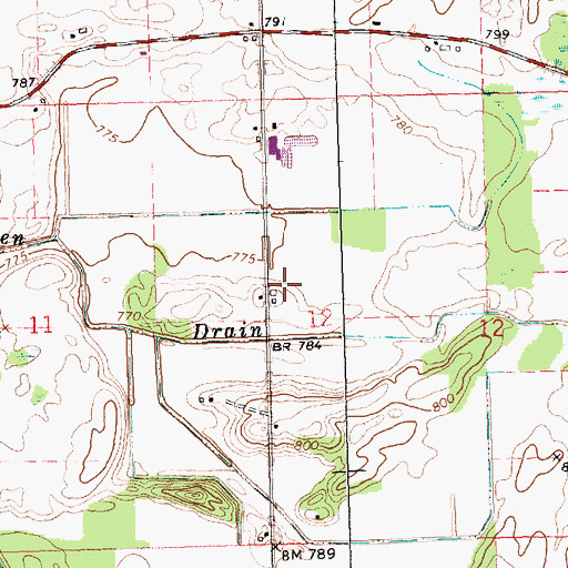Topographic Map of Saint John's Onion Farm, MI