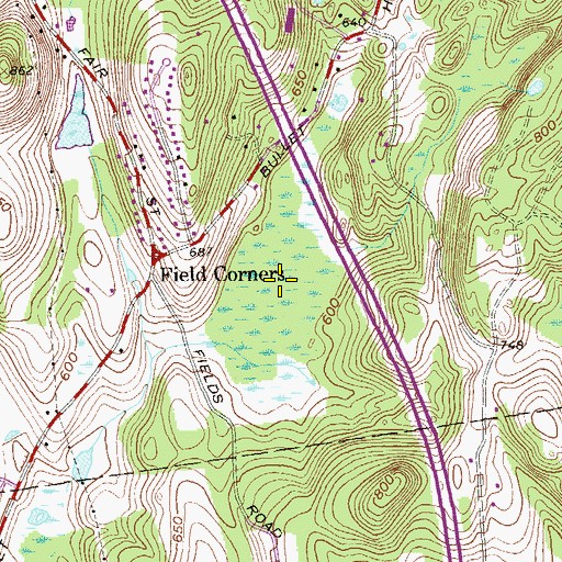 Topographic Map of Beaver Swamp, NY