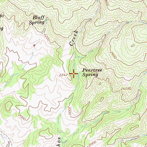 Topographic Map of Peartree Spring, CA