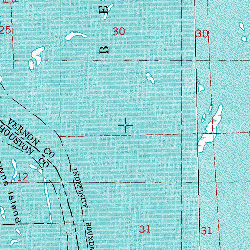 Topographic Map of Snake Tongue Island, WI