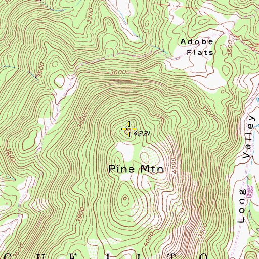 Topographic Map of Pine Mountain, CA