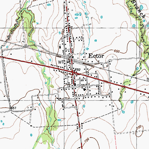 Topographic Map of Ector Post Office, TX