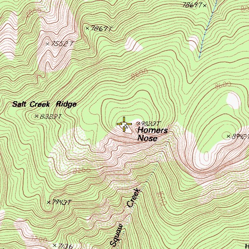 Topographic Map of Salt Creek Ridge, CA