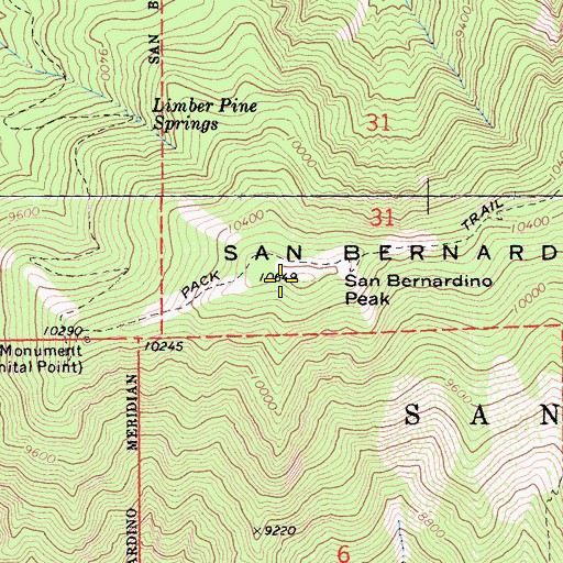 Topographic Map of San Bernadino Peak, CA