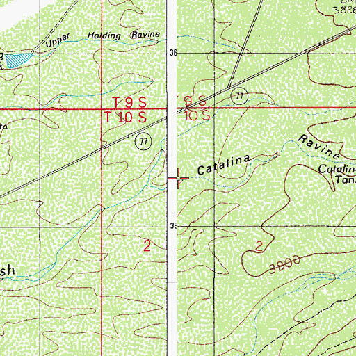 Topographic Map of Catalina Ravine, AZ