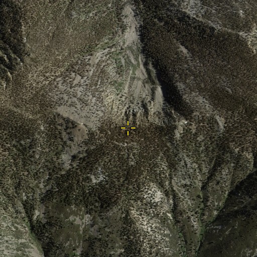 Aerial/Satellite Image of Shields Flat, CA