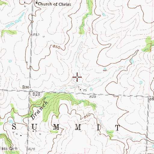 Topographic Map of Seelinger Branch, MO