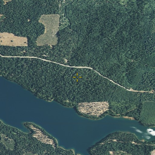 Aerial/Satellite Image of Black Oak Campground, CA