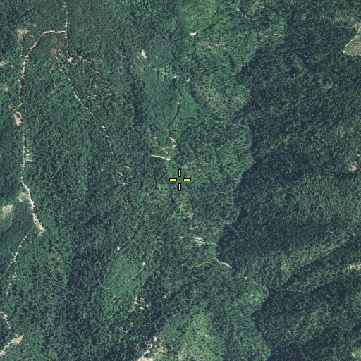 Aerial/Satellite Image of Forks House Trail, CA