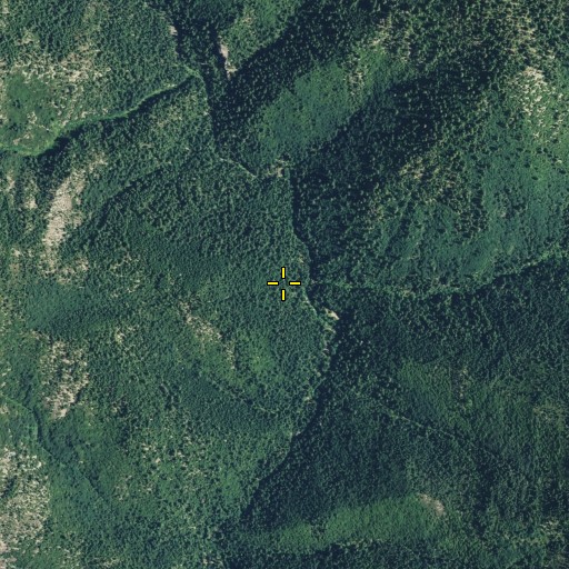 Aerial/Satellite Image of Downie River Trail, CA