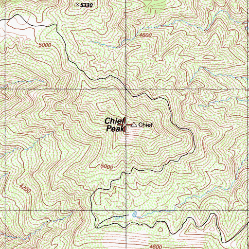 Topographic Map of Chief Peak, CA