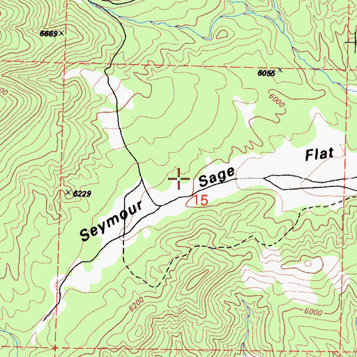 Topographic Map of Seymour Sage Flat, CA