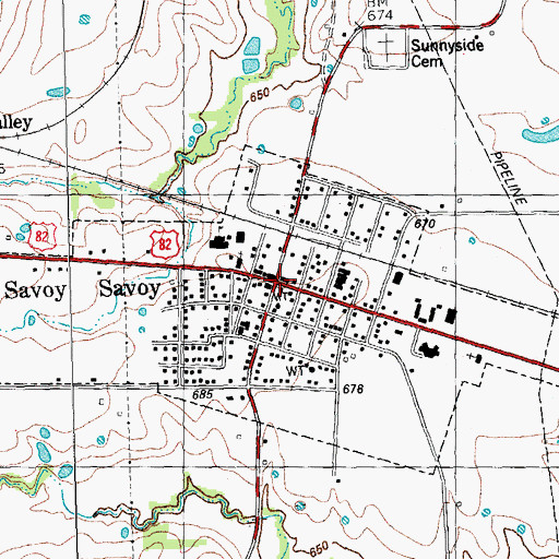 Topographic Map of Savoy City Hall, TX