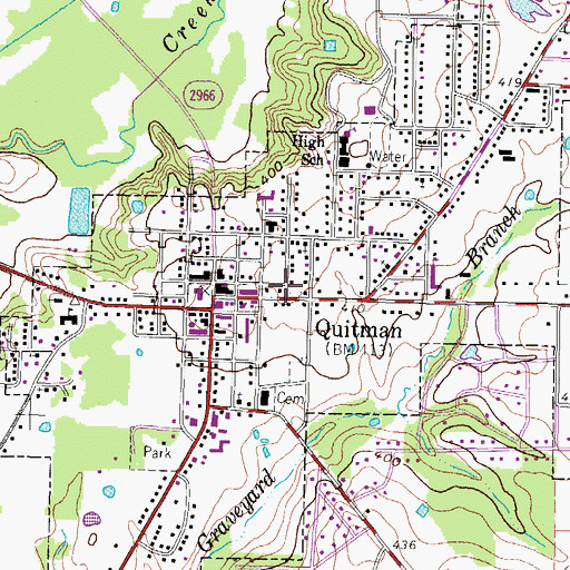 Topographic Map of Quitman City Hall, TX