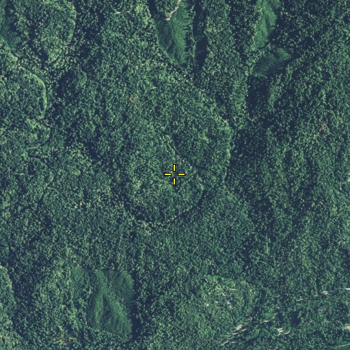 Aerial/Satellite Image of Rose School, CA