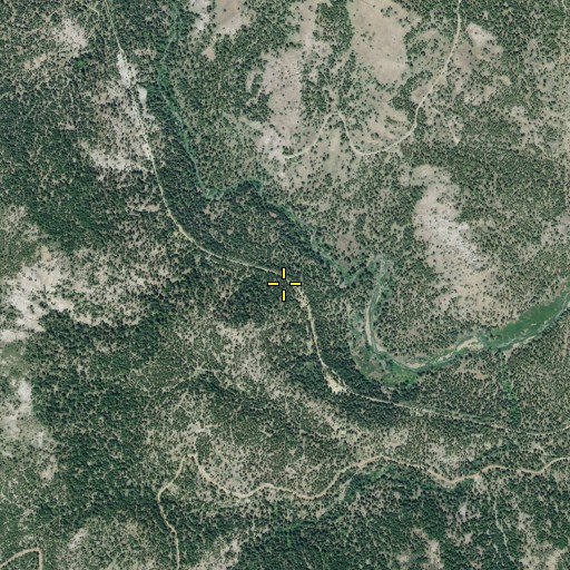 Aerial/Satellite Image of Bizz Johnson Trail, CA