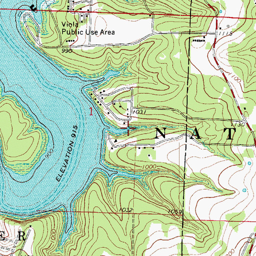 Topographic Map of Bristow Hollow, MO