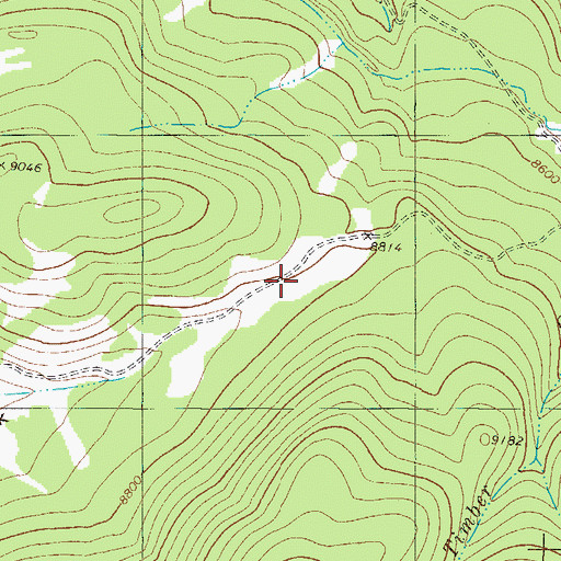Topographic Map of Brinker Ditch, CO