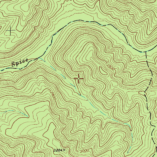 Topographic Map of Spice Run Wilderness, WV