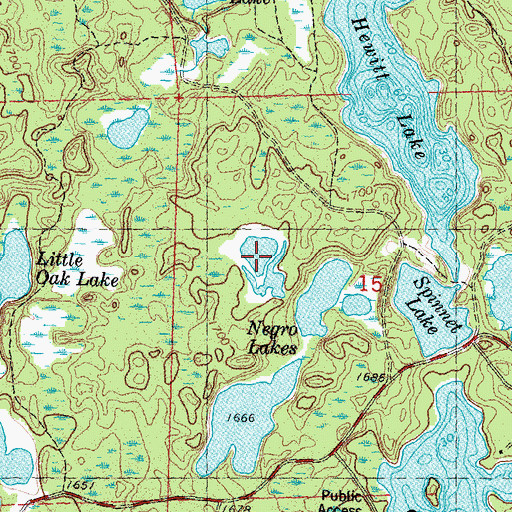 Topographic Map of Woods Lake, WI