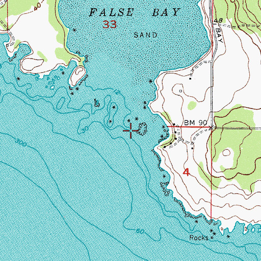 Topographic Map of Lee Island, WA