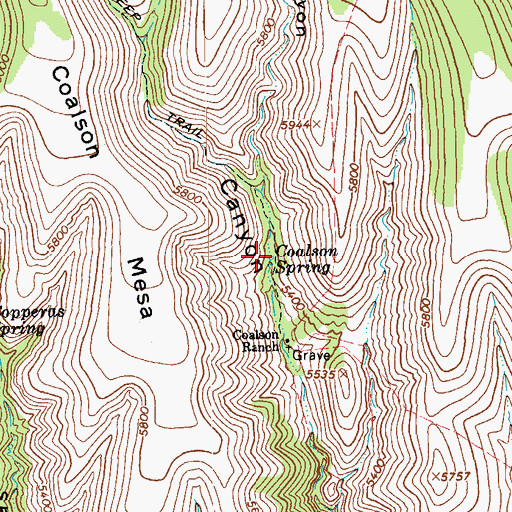 Topographic Map of Coalson Spring, AZ