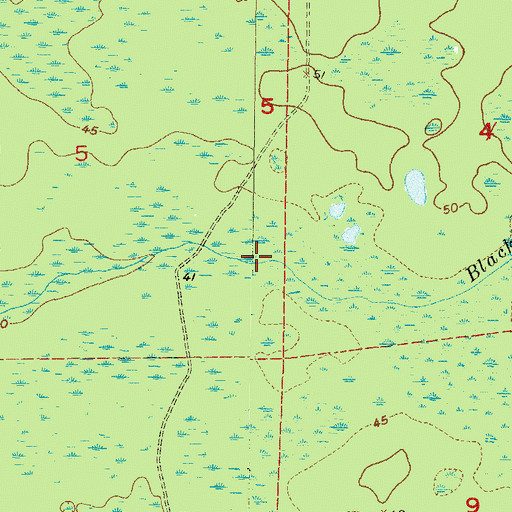 Topographic Map of Black Prong, FL